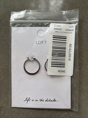 LOFT Small Silver Flat Hoop Earrings